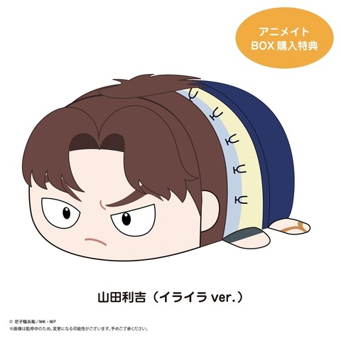 resize_image