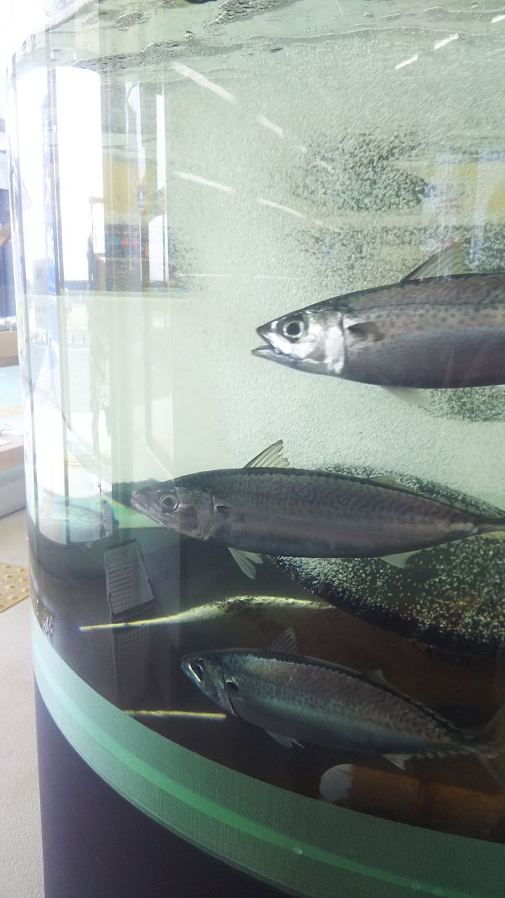 網干じばさんひろば魚吹津 メガネのプロ、やまもとさん 網干じばさんひろば魚吹津 メガネのプロ、やまもとさん