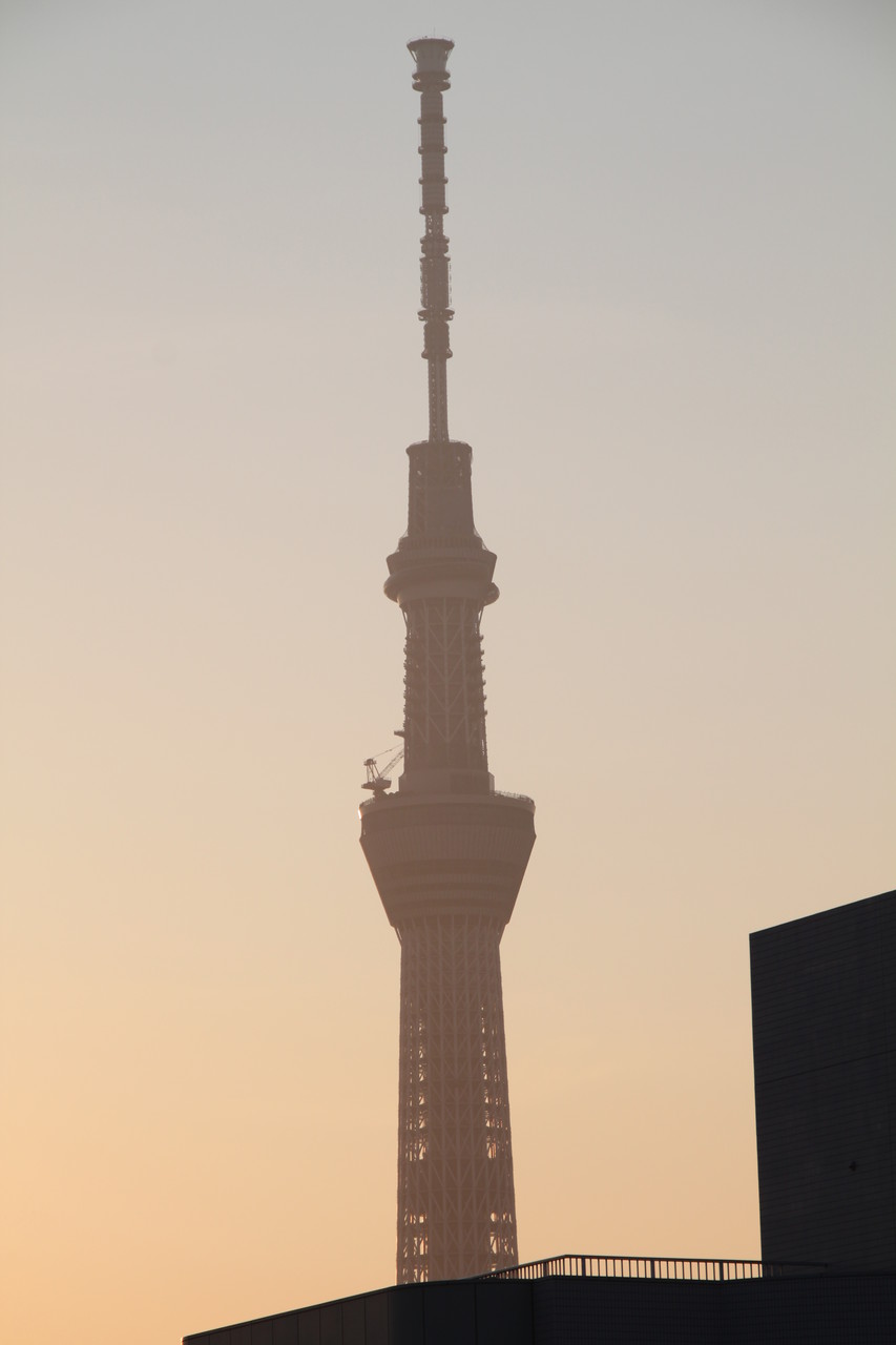 東京ｽｶｲﾂﾘｰ観察日記 夕焼けに浮かぶｽｶｲﾂﾘｰのｼﾙｴｯﾄです オプトアート ブログ スカイツリー に関係した内容などををアップしています