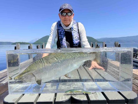 2026/6/1 洞爺湖解禁 サクラマス60cm&57cmダブルヒット : ORA Minnow