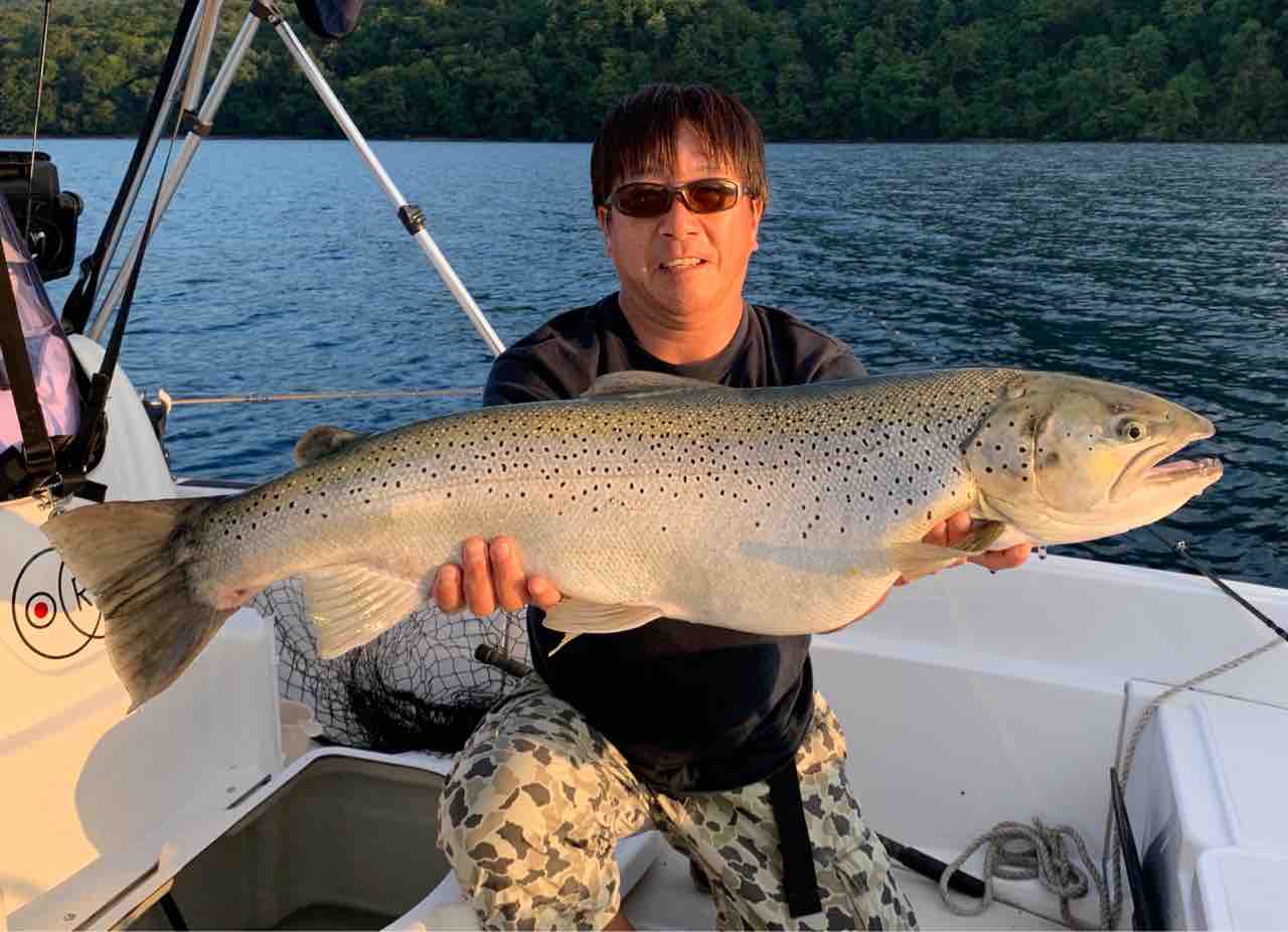 過去画像 支笏湖 ブラウントラウト 87cm / 8.3kg : ORA Minnow Serendipity
