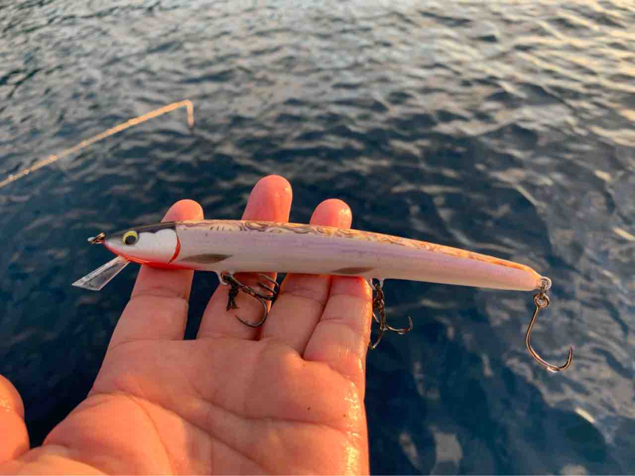 過去画像 支笏湖 ブラウントラウト 87cm / 8.3kg : ORA Minnow Serendipity
