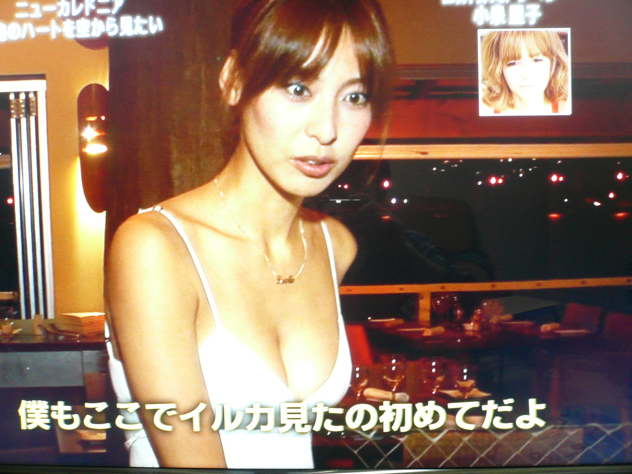 弾丸トラベラー 小泉里子 独身oyagiのチョイな毎日
