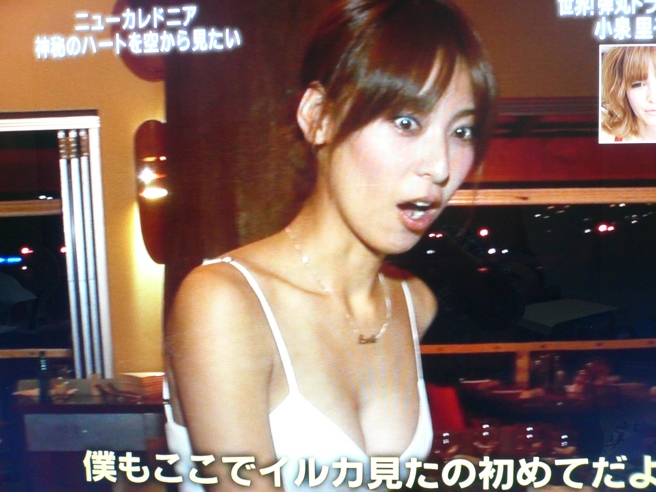 弾丸トラベラー 小泉里子 独身oyagiのチョイな毎日