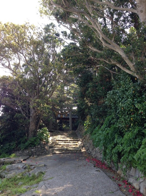 佐久島2014その2。