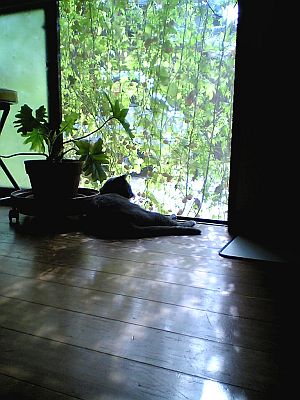 ゆっくりと変わる。