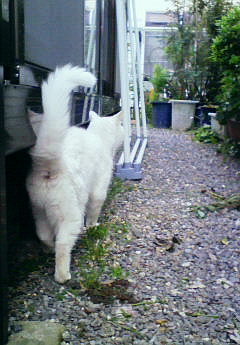 実家へ帰ろう。