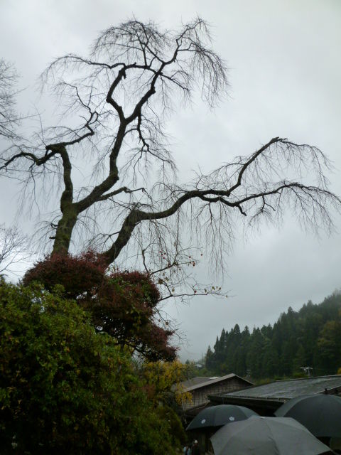 靴の中もマイナスイオン。