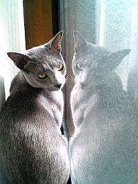 ジキルとハイド。