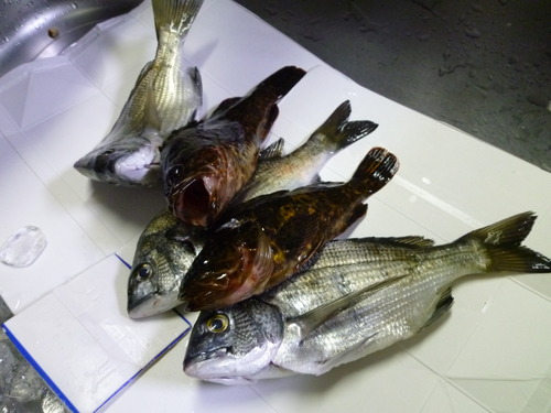 おいしかったです。