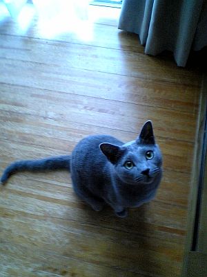 わがまま王子。