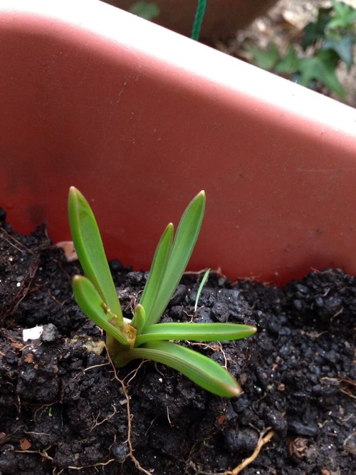 冬は寒いものであるべき。