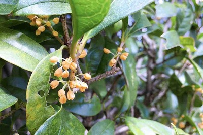 風が吹いています。