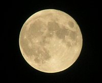 良い月でした。