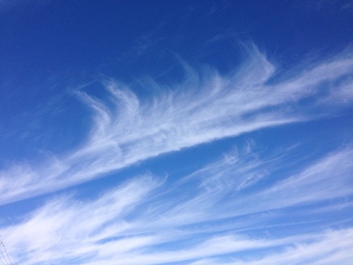 明日のことよりも。