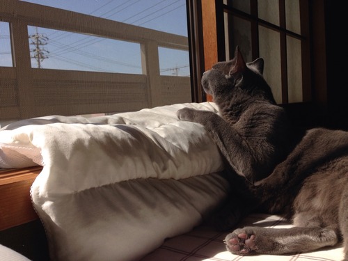 ある晴れた秋の日。