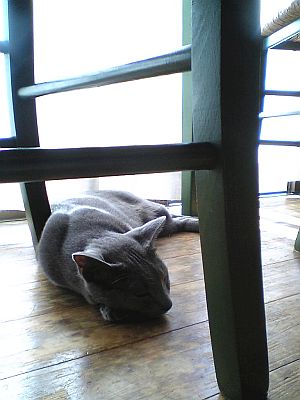 「クムリウタ」より抜粋。