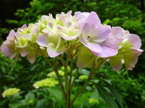 チョロKクラブBBQ楽しかった。