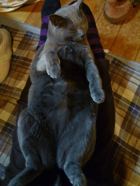 寝る少し前、心がポカポカになる時間。