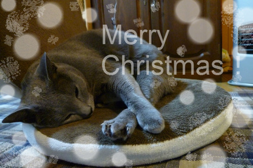 どなたさまも・・・。