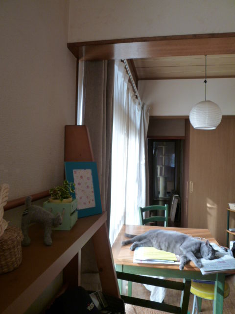 ジュウタイキライ。