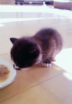 縁（えにし）。