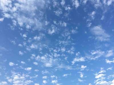 ご注文はうさぎです。