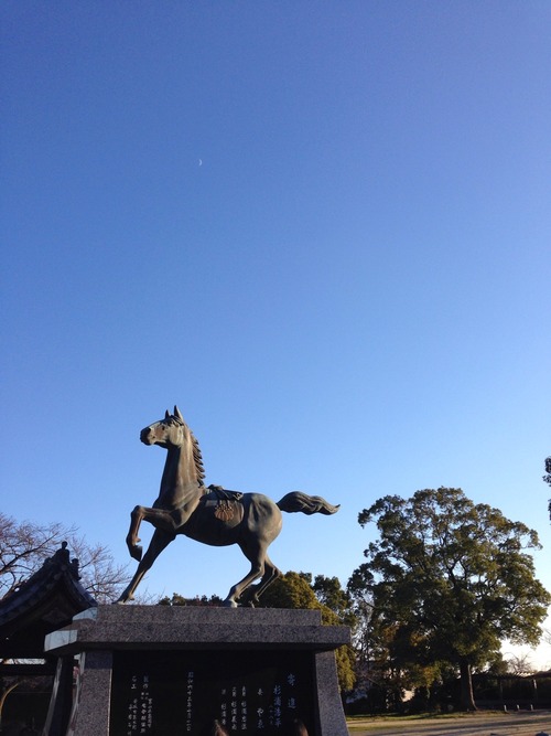 白い三日月登ってた。