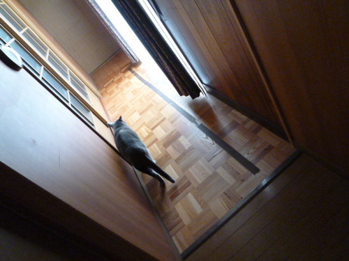 今日は・・・。