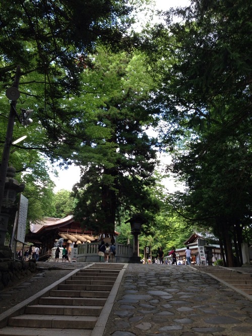 夏休みの思い出その4。