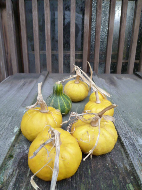 ひとり旅、こたつしかない部屋は悲し過ぎた。