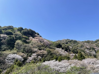 楽しみを作ろう。