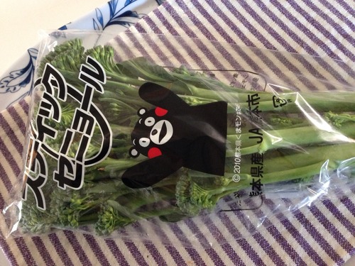 今日のくまモン。