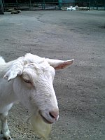 いいことだけ信じる。