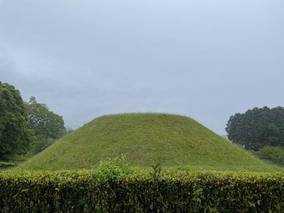 IMG_3267
