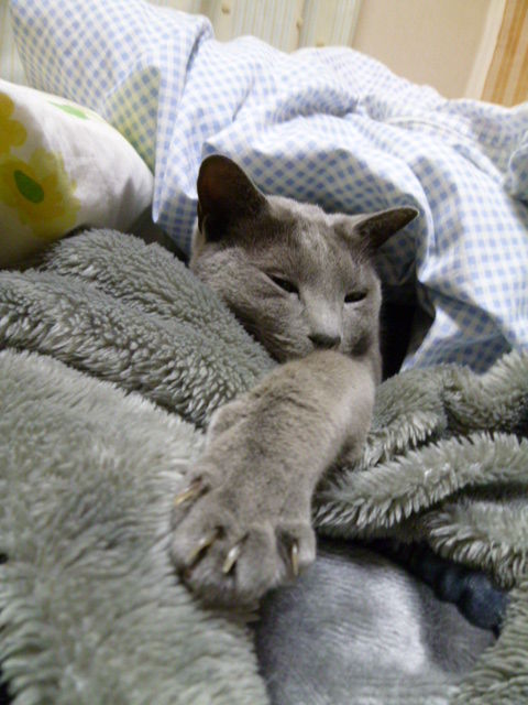 近頃わたしたちはいい感じ。