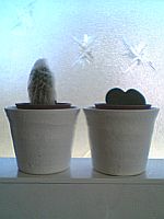 ヤマアラシの気持ち。