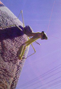 ちょっとせつない秋の仕事。