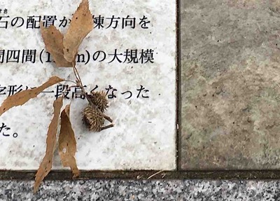 夏見廃寺跡。