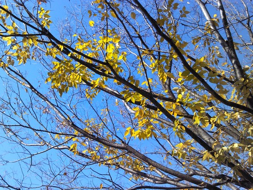 変化を受け入れる。