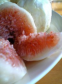 夏休み終わるよ。