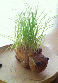 ナニコレその後。