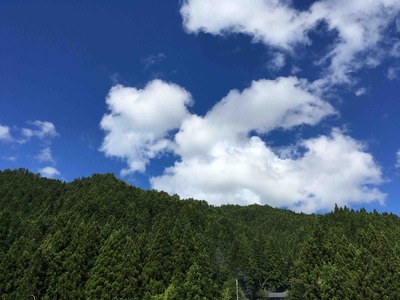 ダムは見てない。