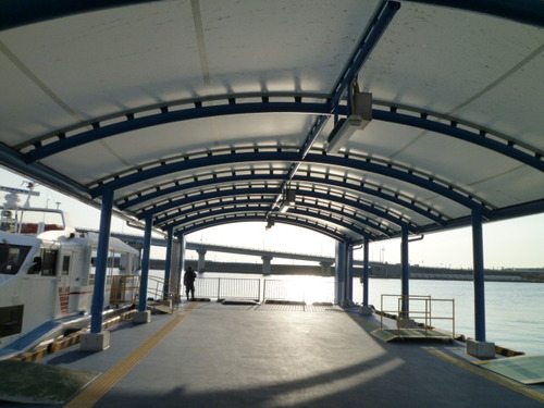 春の佐久島へ渡りました。