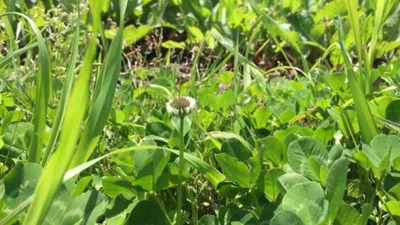 しばらくは平日縛りで。