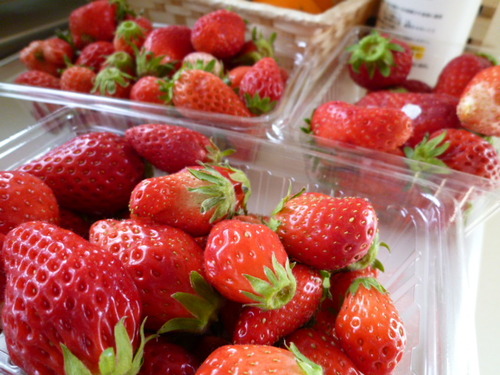 連休にしたこと。