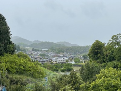 IMG_3299