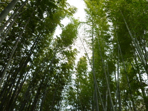 もっとしなやかに。