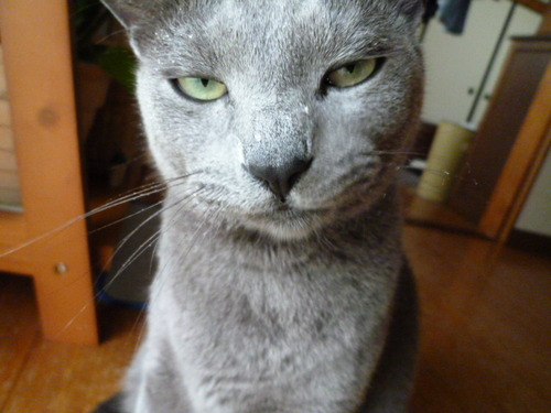 電波でもいい。