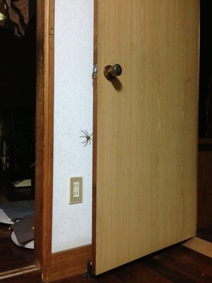 苦手な方は通り過ぎてください。